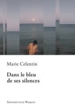 Dans le bleu de ses silences, Marie CELENTIN