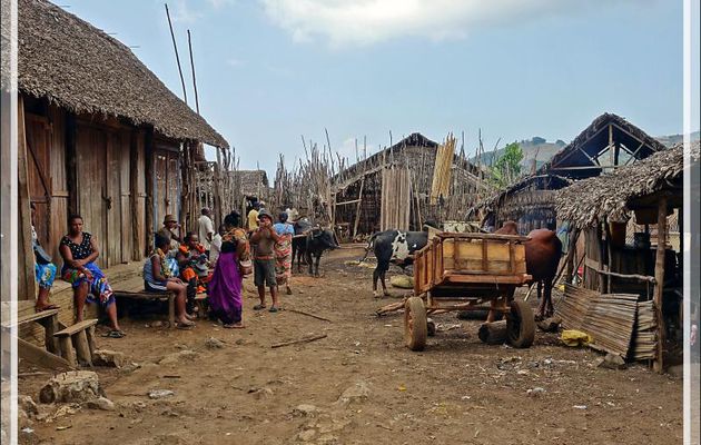 31/10/19 : Après 43 h de voyage depuis notre départ des Pyrénées, voici enfin Hellville (Nosy Be, Madagascar) où nous marchons un peu en attendant le bateau qui nous conduira à Nosy Tsarabanjina