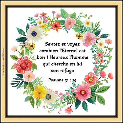 Psaume 31 : 14