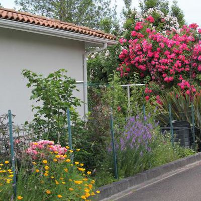 Le jardin est arrivé à maturité