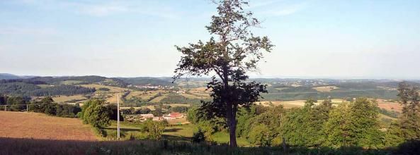 Vézelay - Le Puy en Velay 2011 - Arfeuilles - Lavoine