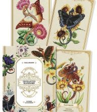 Download Pdf Enchanted Blossoms Empowerment Oracle