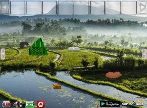 Rice terrace field escape soluce