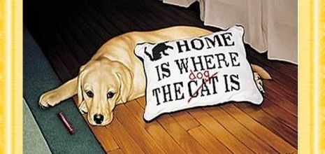 Le secret du bonheur !