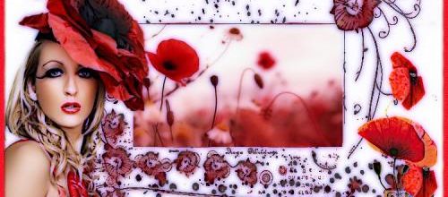  Les coquelicots.
