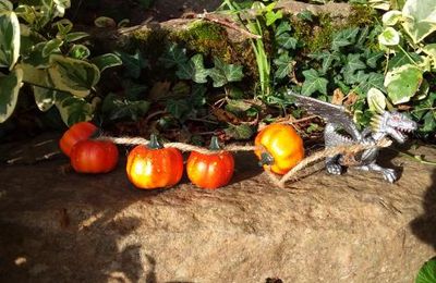 Un automne avec Fauna, 2e partie