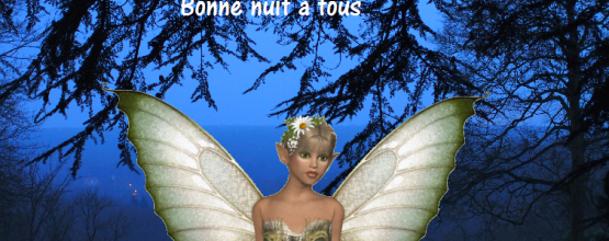 Bonne nuit à tous 