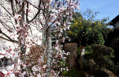Le printemps est arrivé