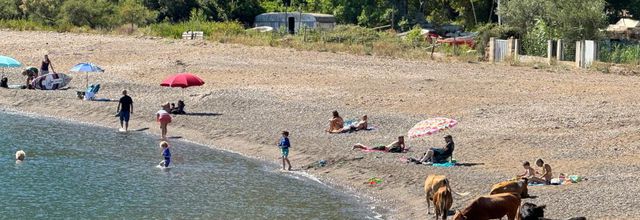 Plage partagée - Galéria - Corse