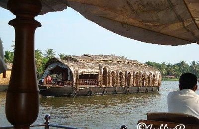 Inde du Sud (11) Allepey (2)