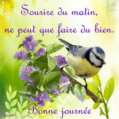 Bonjour les amis(ies)