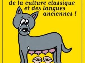 Quel avenir pour les langues anciennes, grec et latin ?