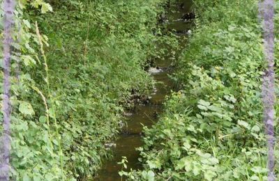 Ruisseaux éphémères