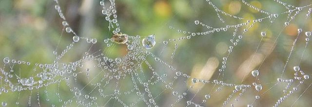 Je fonctionne au ralentis