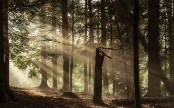 Il fut acteur, aujourd'hui il est photographe ... 