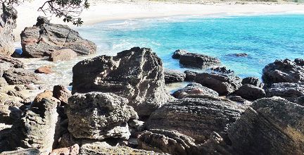 Le coromandel: Onemana beach