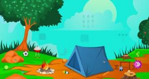 Escape picky picnic soluce