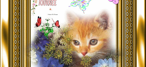 CADRE CHAT