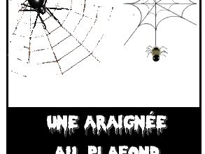 Une araignée au plafond !