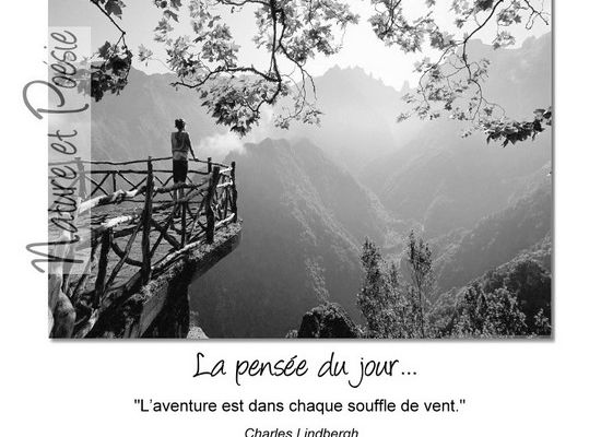 Citations en images : L'aventure