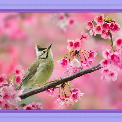 Une foi en neuf lettres