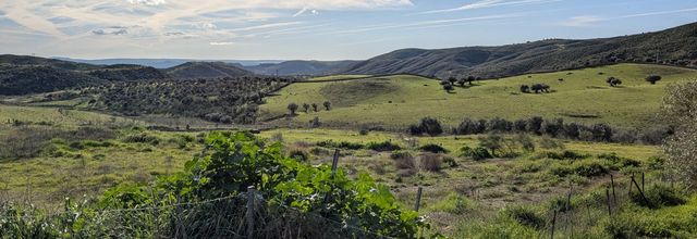 Balade autour de Cacéres - Espagne