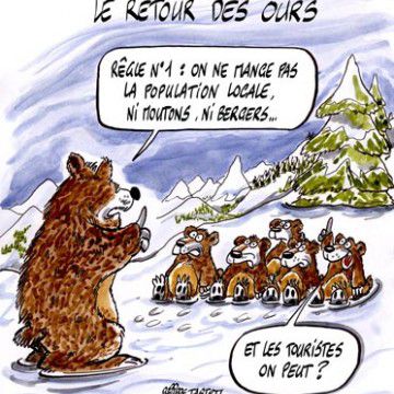 Parents et bébés animaux :