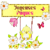 1158 Poussin chocolat 