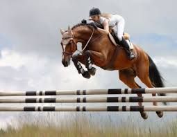 Le cheval est le meilleur ami de l'homme.