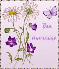 LE BLEUET