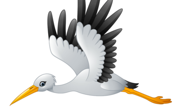Migration du blog