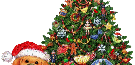 Joyeux Noël
