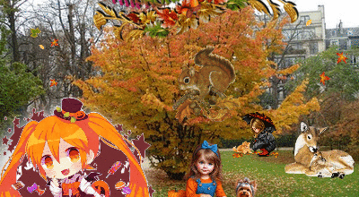  SPECIAL AUTOMNE ANIMAUX ENFANTS