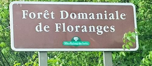 Bain en Forêt de Flaoranges - La Chapelle Neuve Morbihan - Le ruisseau