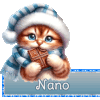 Réception Nano