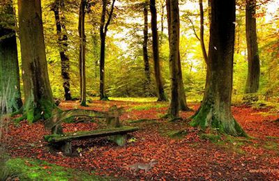 L'automne - Sully Prudhomme -