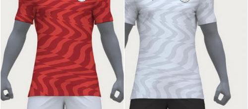 Deux Puma maillot Egypte pas cher 2019-2020