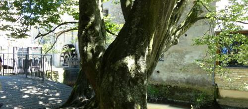 Bayeux