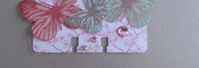 Memory papillons et sa carte .