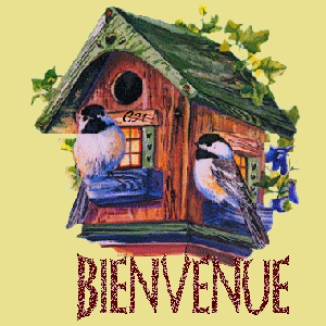 COMMENT NOURRIR LES OISEAUX DU CIEL EN HIVER