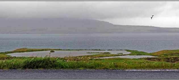 08/06/2023 : départ, en principe pour une randonnée vers la cascade Glymur, mais il tombe des cordes ! Donc ce sera la découverte du fjord Hvalfjordur et Fossárrétt Waterfall - Islande
