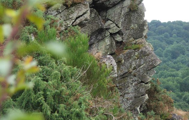 LA ROCHE D'OETRE