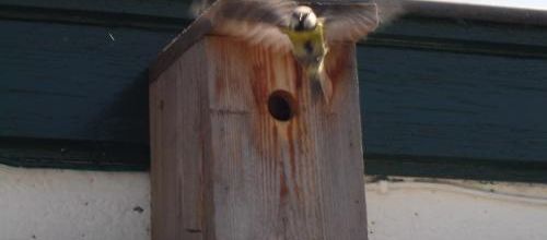 Ma photo préférée du 31 mars