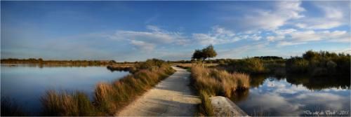 M DOUCE/ 21/06/18 Le TEICH-GUJAN