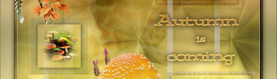 AUTUN IS COMING