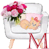 Alphabet - Chat fleurs - suite