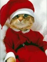 Dimanche c'est Quya et même Noël