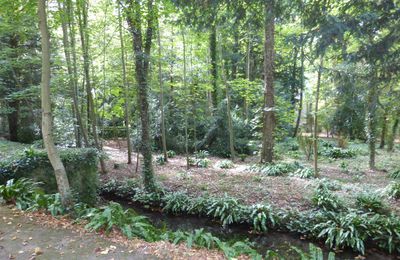 La source