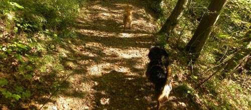 Woopy et Manni