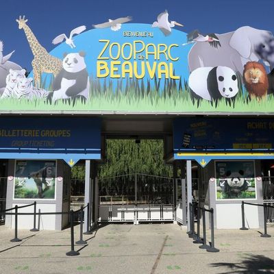 Content   les   verts ?